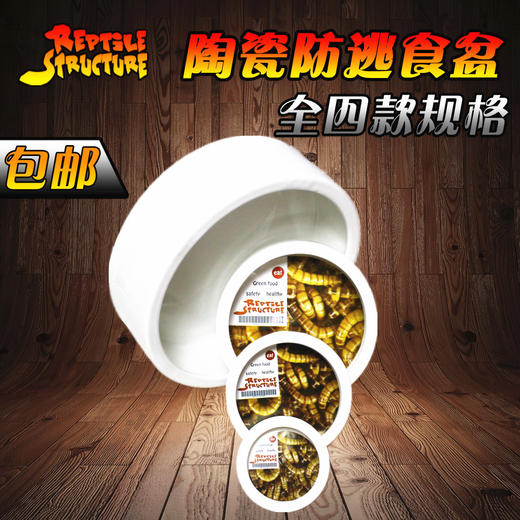 Reptile Structure-爬结构 防逃食盆日本爬虫守宫蜥蜴蜘蛛活体饲料大麦面包防逃逸泡水盆包邮-分销 商品图0