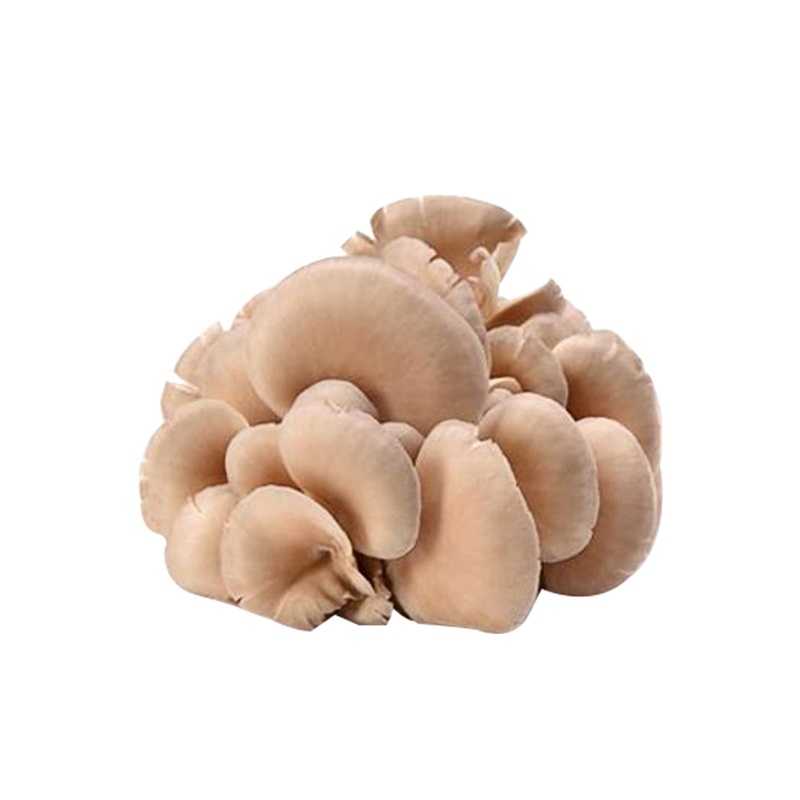 ƽ Լ200g/
