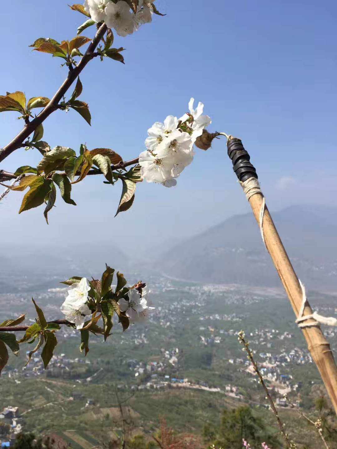 这是一滴来自四川西南大山深处的甘露,深耕在攀西阳光第一城的美味大