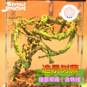 Reptile Structure-爬结构 爬虫箱造景树藤假树枝亚克力网变色龙箱雨林泡沫蔓藤饲养箱装饰-分销