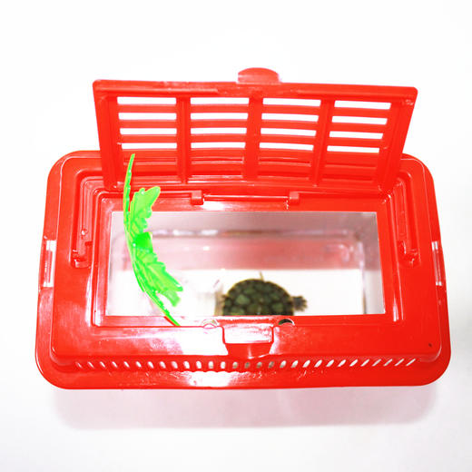 Reptile Structure-爬结构 中小号手提宠物盒乌龟缸运输盒蝎子蜘蛛寄居蟹爬虫蜈蚣蟑螂饲养盒-分销 商品图2