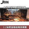 Reptile Structure-爬结构 爬虫打磨树皮垫材爬箱陆龟箱蜥蜴爬虫垫材-分销 商品缩略图2