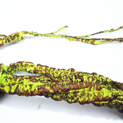 Reptile Structure-爬结构 爬虫箱造景树藤假树枝亚克力网变色龙箱雨林泡沫蔓藤饲养箱装饰-分销 商品图4