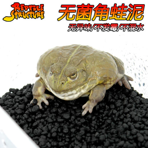 Reptile Structure-爬结构 角蛙泥角蛙垫材非牛底材两栖蝾螈雨林缸黑色底泥爬虫垫材蛙类垫材-分销 商品图2