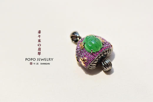 玛丽兄弟的魔法蘑菇 商品图11