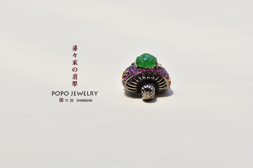 玛丽兄弟的魔法蘑菇 商品图6