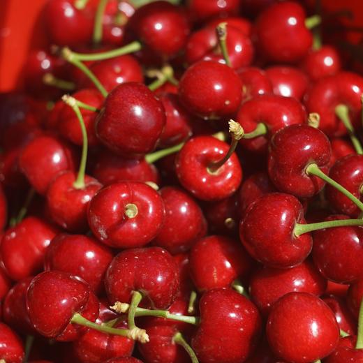 合作生产 | 生态樱桃 商品图2