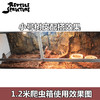 Reptile Structure-爬结构 爬虫打磨树皮垫材爬箱陆龟箱蜥蜴爬虫垫材-分销 商品缩略图3