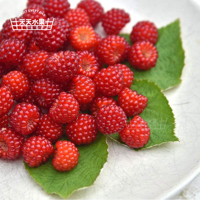 美国加州 怡颗莓树莓 1盒125g - 版纳天天水果
