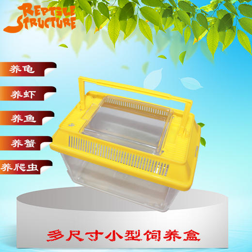 Reptile Structure-爬结构 中小号手提宠物盒乌龟缸运输盒蝎子蜘蛛寄居蟹爬虫蜈蚣蟑螂饲养盒-分销 商品图0