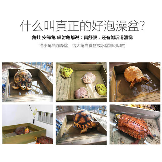 Reptile Structure-爬结构  陆龟泡澡盆乌龟蜥蜴爬虫阶梯式多功能水盆苏卡达黄缘超大号泡水盆-分销 商品图4