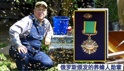 【赠品】[俄罗斯黑蜂椴树雪蜜] 高寒2500米原始椴树林，一年只收一次，波美 度43【如团购可送礼盒】 商品图10