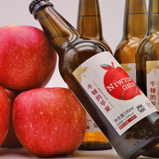 牛顿的苹果 西达Cider低度苹果酒 女士水果酒 果汁酒 6瓶装 商品图1