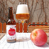 牛顿的苹果 西达Cider低度苹果酒 女士水果酒 果汁酒 6瓶装 商品缩略图0