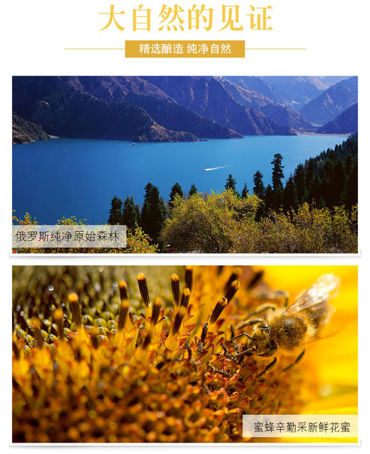 【赠品】[俄罗斯黑蜂椴树雪蜜] 高寒2500米原始椴树林，一年只收一次，波美 度43【如团购可送礼盒】 商品图7