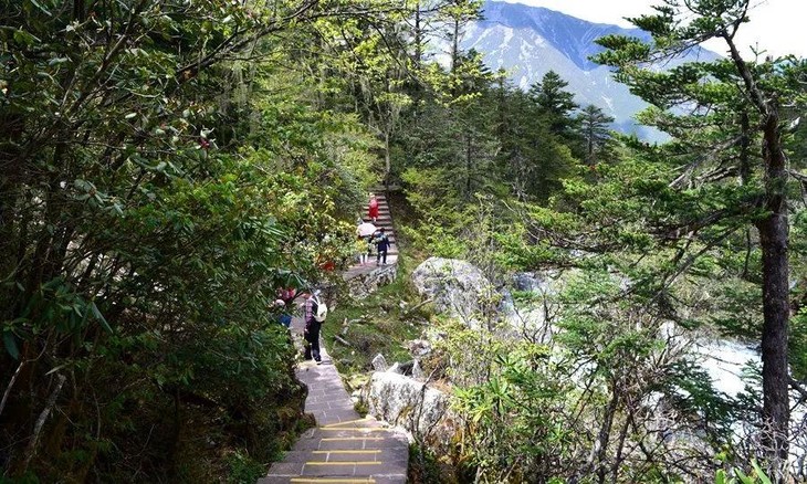 均温15℃的千瀑峡(又名杜鹃峡,大概是没人会反驳的答案吧.