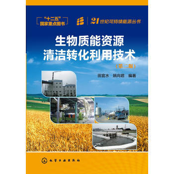 21世纪可持续能源丛书--生物质能资源清洁转化利用技术(第2版) 商品图0