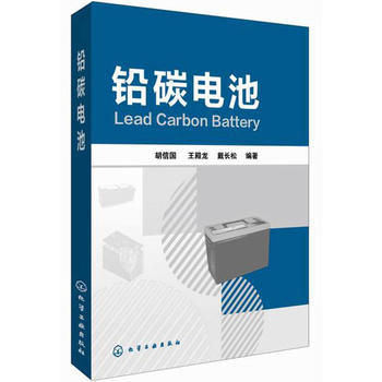 铅碳电池 商品图0