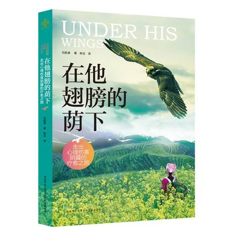 在他翅膀的荫下 商品图0
