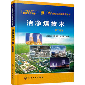 洁净煤技术（第二版）