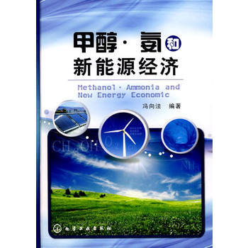 甲醇·氨和新能源经济 商品图0
