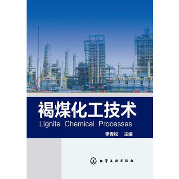 褐煤化工技术 商品图0