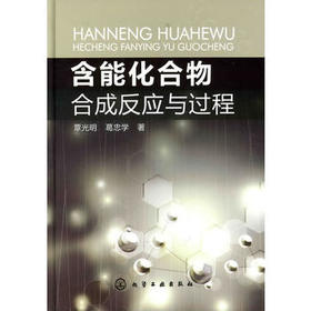 含能化合物合成反应与过程