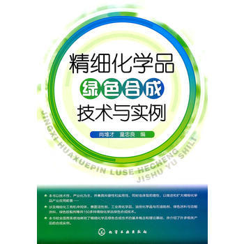 精细化学品绿色合成技术与实例 商品图0