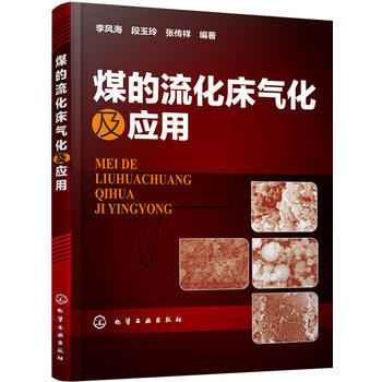 煤的流化床气化及应用 商品图0