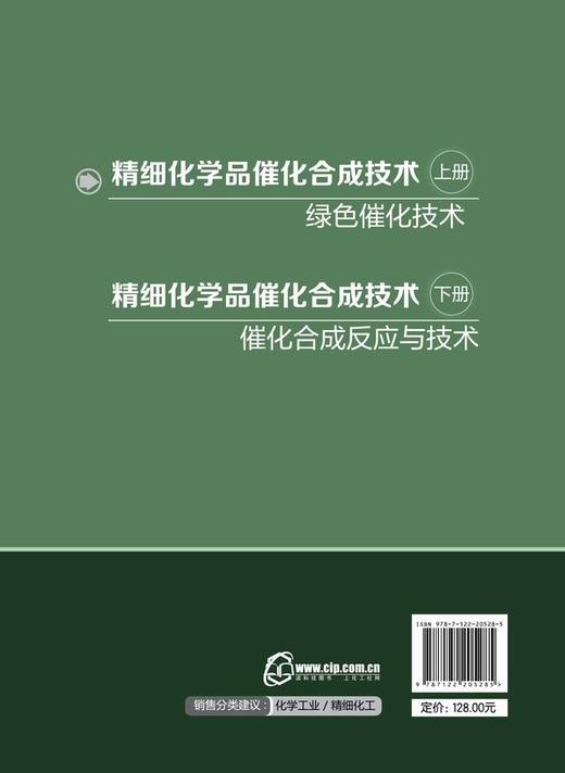 精细化学品催化合成技术（上册，绿色催化技术） 商品图2