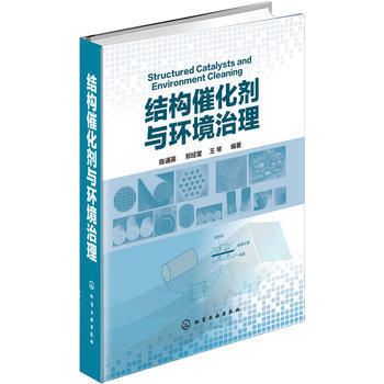 结构催化剂与环境治理 商品图0