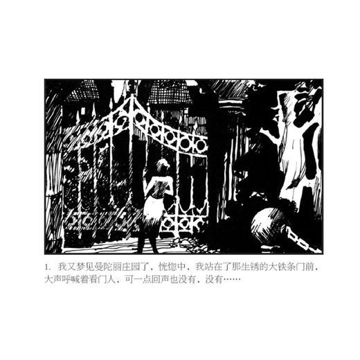 世界文学名著连环画收藏本：蝴蝶梦（套装共5册） 商品图1
