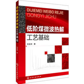 低阶煤微波热解工艺基础
