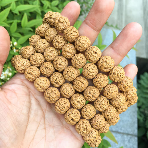 12mm*108颗，原桩盘龙纹，姜黄皮  J10 商品图5