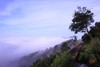 探访敬亭山 商品缩略图0