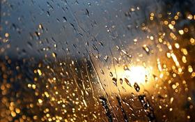 听雨的乐趣
