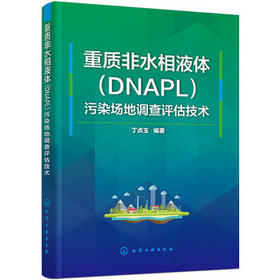 重质非水相液体（DNAPL）污染场地调查评估技术