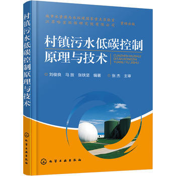 村镇污水低碳控制原理与技术 商品图0