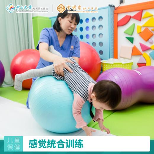 多元益智增潜能评估+首次感觉统合训练体验课+解读与定制方案+医师服务费 商品图0