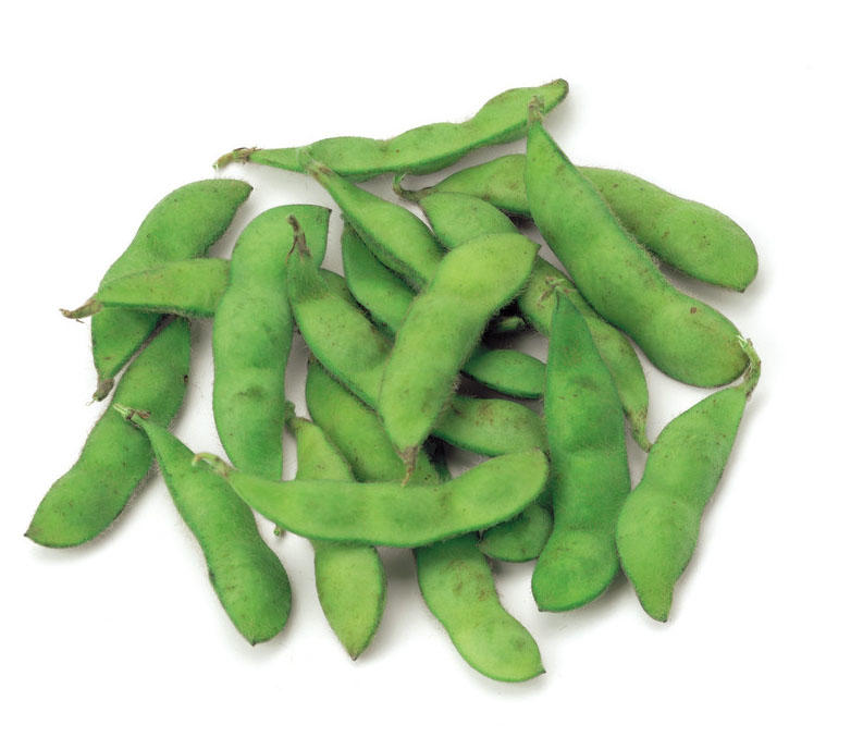 【New】毛豆500g - 阿林农场