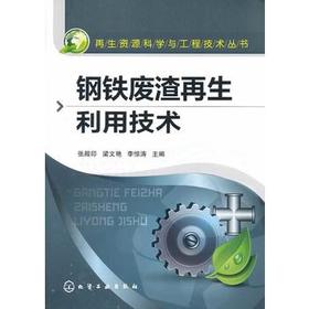 再生资源科学与工程技术丛书--钢铁废渣再生利用技术