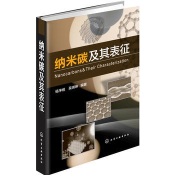 纳米碳及其表征 商品图0