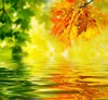 秋景 商品缩略图0