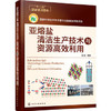 亚熔盐清洁生产技术与资源高效利用 商品缩略图0