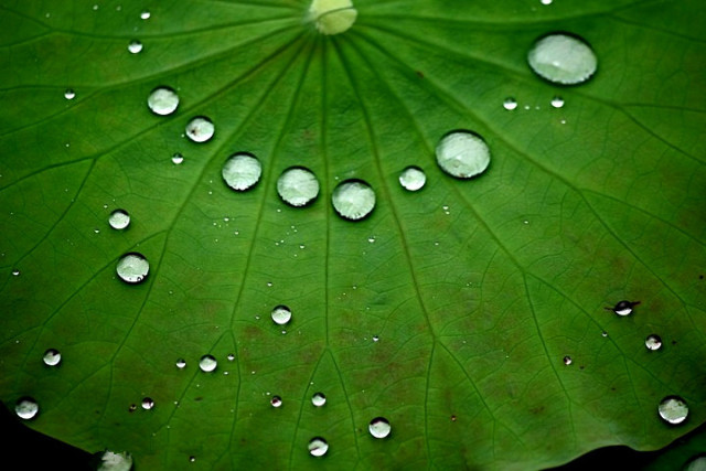 舞蹈教案范文小雨点_小学音乐教案小雨沙沙_舞蹈教案范文