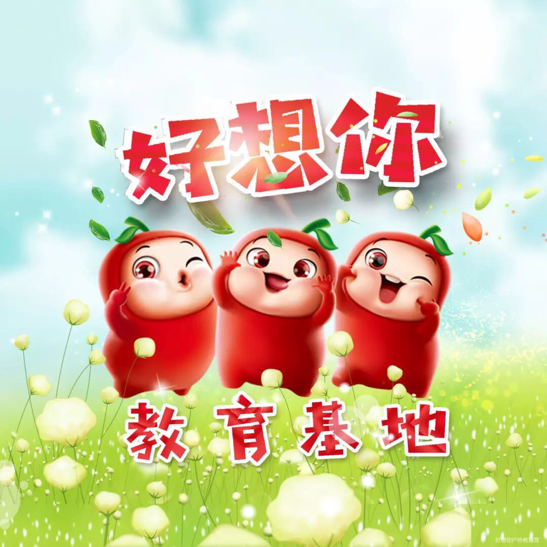 好想你精装三代阿胶枣片500g
