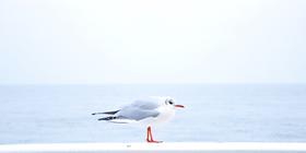 7月6日-结课测试2