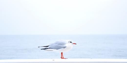 7月5日-结课测试1 商品图0