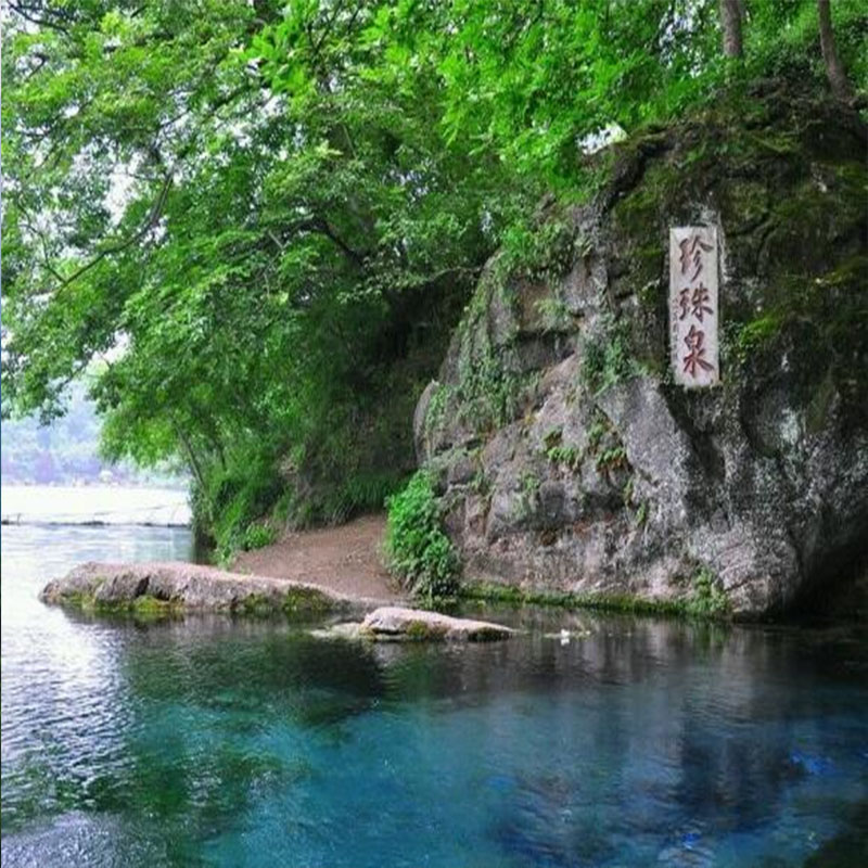 【限时特惠】珍珠泉风景区 野生动物园门票(成人票)