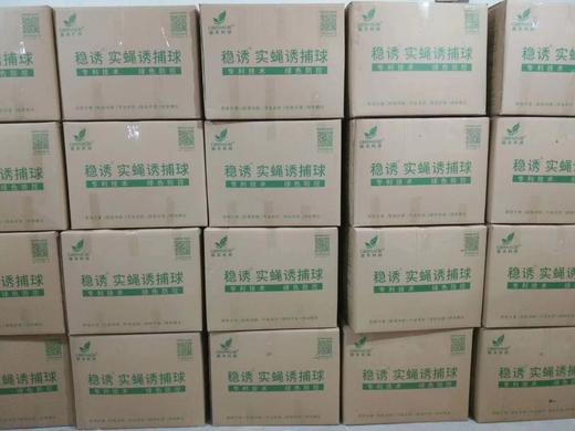 桔小实蝇诱捕球，瑞丰诱蝇球，360度诱捕桔小实蝇 商品图2